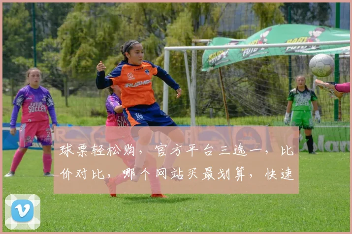 球票轻松购，官方平台三选一，比价对比，哪个网站买最划算，快速抢票