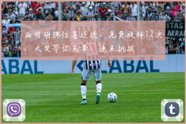 麻将胡牌惊喜连连，免费旋转12次，大奖等你来拿，速来挑战