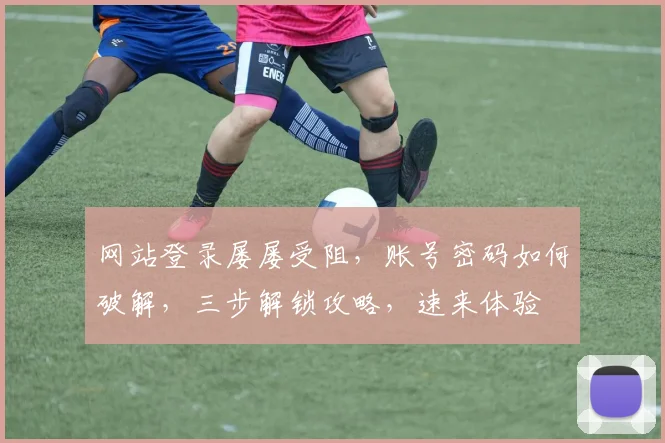 网站登录屡屡受阻，账号密码如何破解，三步解锁攻略，速来体验