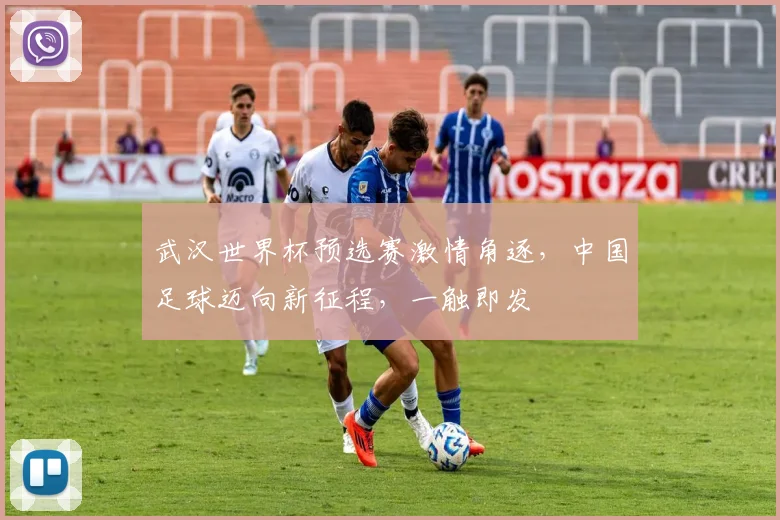武汉世界杯预选赛激情角逐，中国足球迈向新征程，一触即发